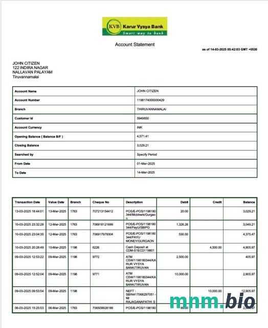 Indie Karur Vysya wyciąg z konta bankowego słowo i szablon PDF, Wersja 2
